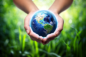 Hands holding soil and a seedling