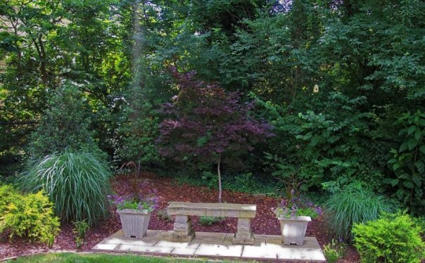 Landscaped outdoor sitting area